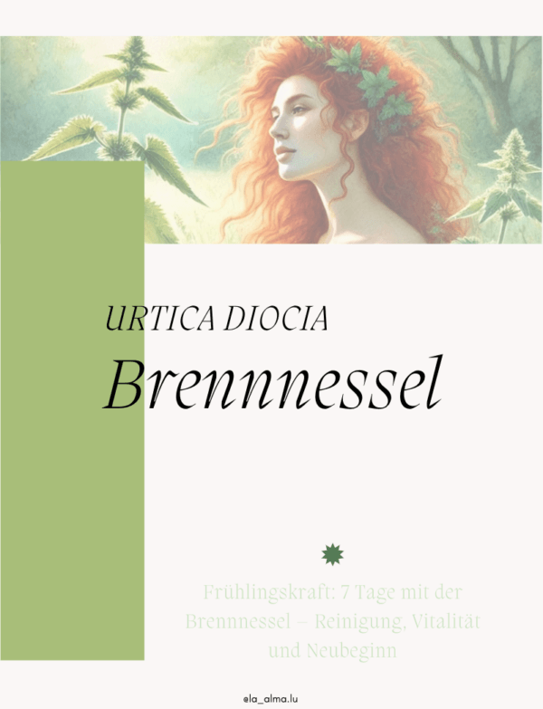 brennnessel dieta 7 tage reinigung